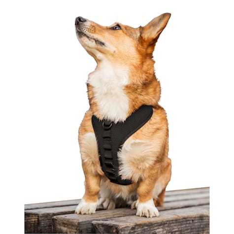K9 Sport Sack Harness for Dogs