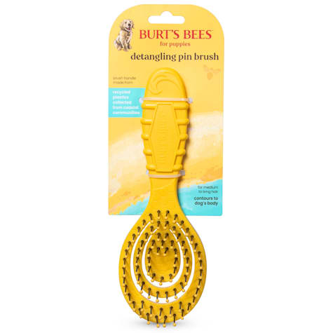 Burt's Bees for Pets Ocean Bound Recycled Plastic Detangling Pin Brush for Puppies