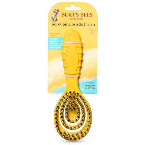 Burt's Bees for Pets Porcupine Bristle Brush for Puppies and Small Dogs