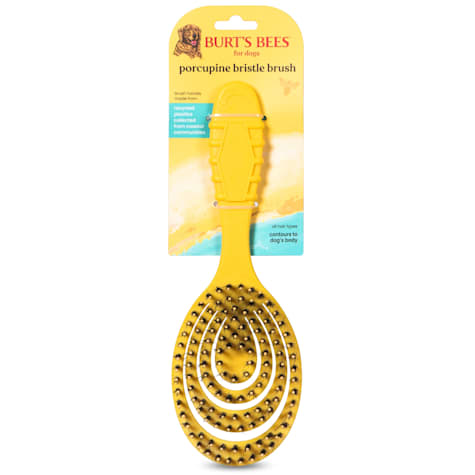 Burt's Bees for Pets Porcupine Bristle Brush for Large Dogs
