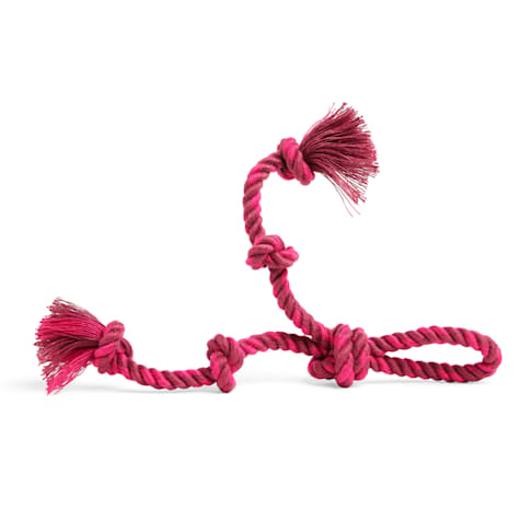 Leaps & Bounds Rope Tug with Handle Dog Toy