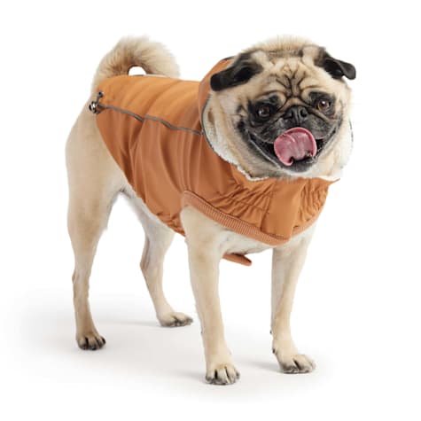 GF Pet Hazel Insulated Dog Raincoat