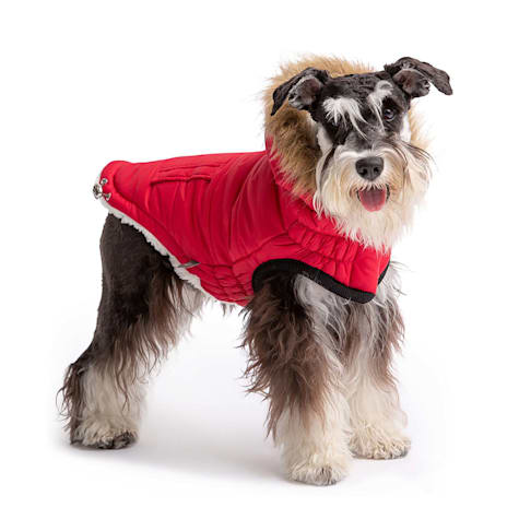 GF Pet Red Urban Dog Parka