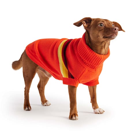 GF Pet Orange Retro Dog Sweater