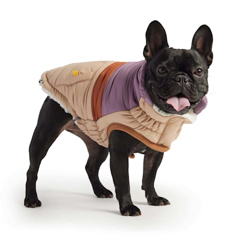 GF Pet Sand Retro Dog Puffer