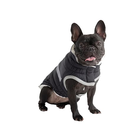 GF Pet Black Alpine Dog Puffer Jacket