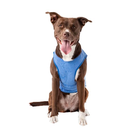 GF Pet Blue Elasto-Fit Ice Dog Vest