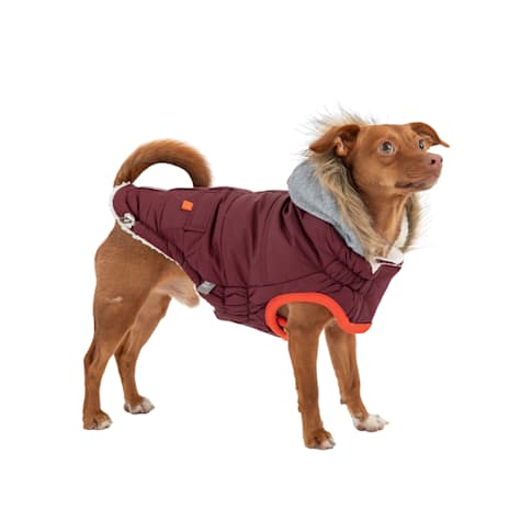 GF Pet Burgundy Winter Sailor Dog Parka