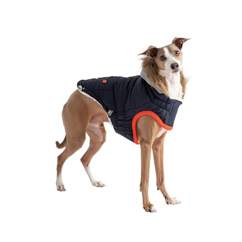 GF Pet Navy Winter Sailor Dog Parka
