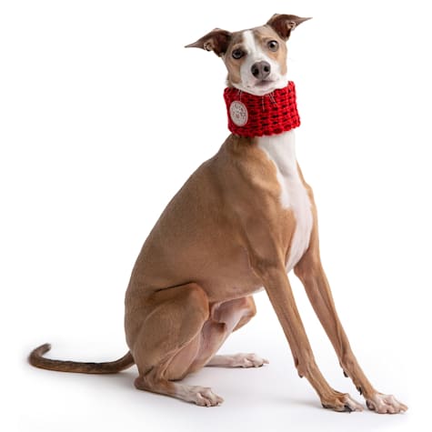 GF Pet Red Chalet Tube Dog Scarf