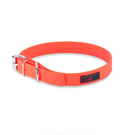 Ultrahund Play Buckle Dog Collar