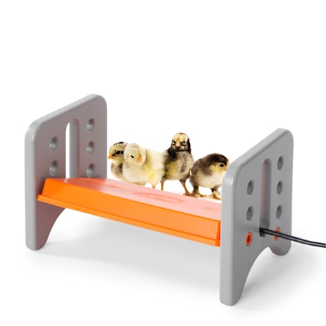 K&H Pet Products Gray/Orange Small Thermo-Poultry Brooders