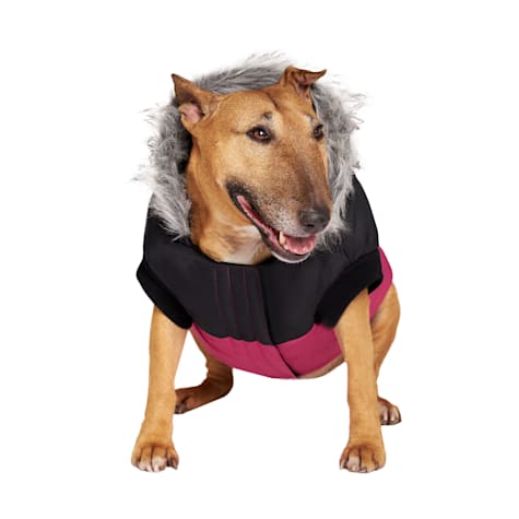 Canada Pooch Pink True North Dog Parka