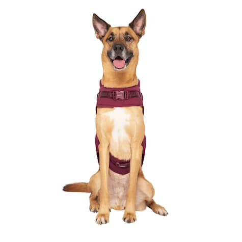 Canada Pooch Plum Harness Puffer for Dogs