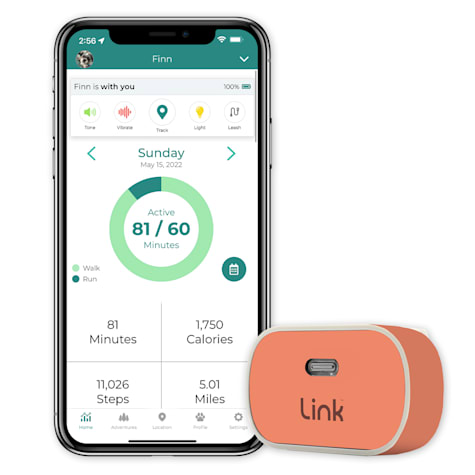 Link My Pet GPS Dog Tracker + Activity Monitor with Poppy Wrap