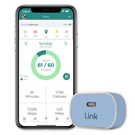 Link My Pet GPS Dog Tracker + Activity Monitor with Rain Wrap