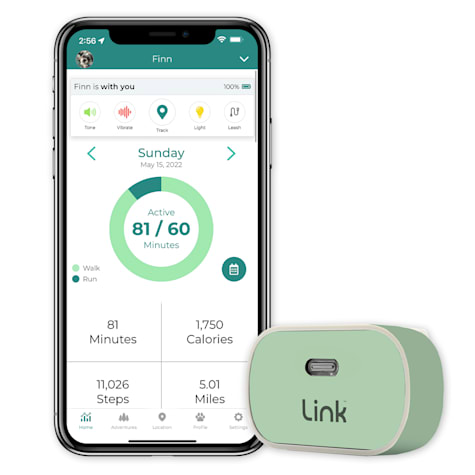 Link My Pet GPS Dog Tracker + Activity Monitor with Sage Wrap