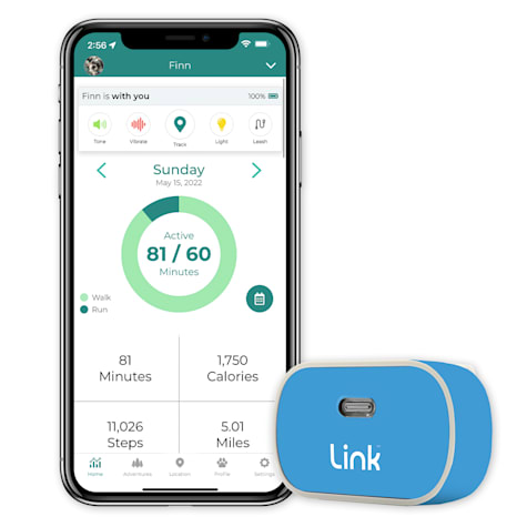 Link My Pet GPS Dog Tracker + Activity Monitor with Blue Wrap
