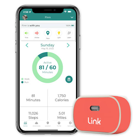 Link My Pet GPS Dog Tracker + Activity Monitor with Coral Wrap