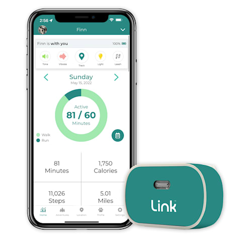 Link My Pet GPS Dog Tracker + Activity Monitor with Teal Wrap