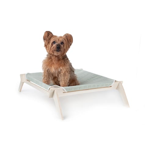 Primetime Petz Sage Mudcloth Designer Pet Lounge Bed for Cats and Small Dogs