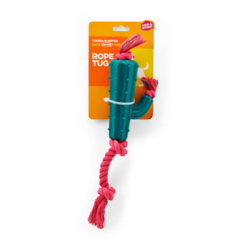 Leaps & Bounds Cactus Rope and Chew Dog Toy
