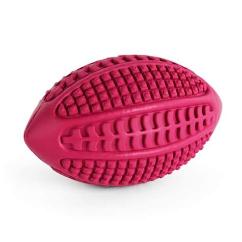 Leaps & Bounds Rubber Football Assortment Toys for Dogs