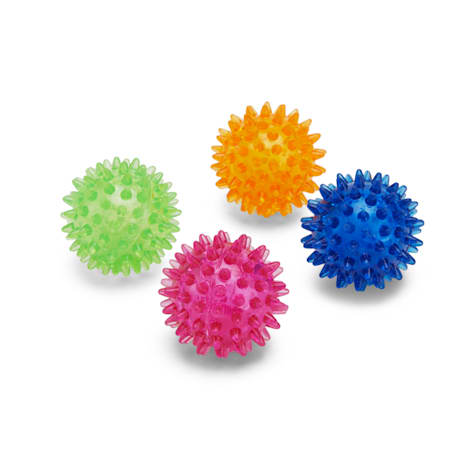 Leaps & Bounds Spiny Ball Assorted Dog Chew Toy