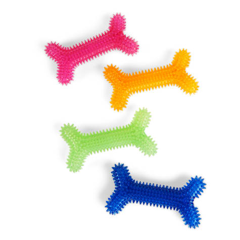 Leaps & Bounds Spiny Bone Assorted Chew Toy for Dogs