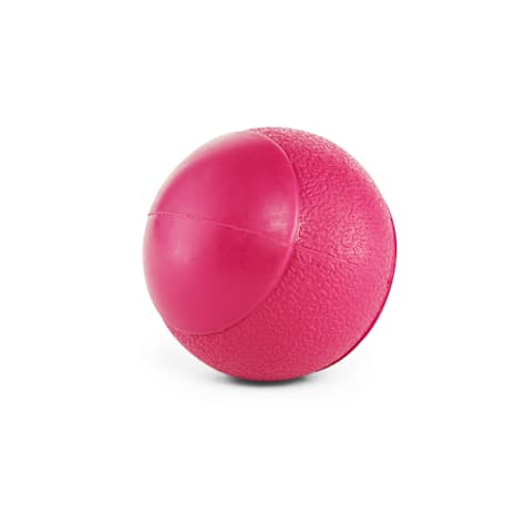 Leaps & Bounds Squeak Ball Assorted Dog Toy