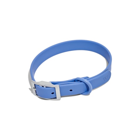 Wild One Dog Collar