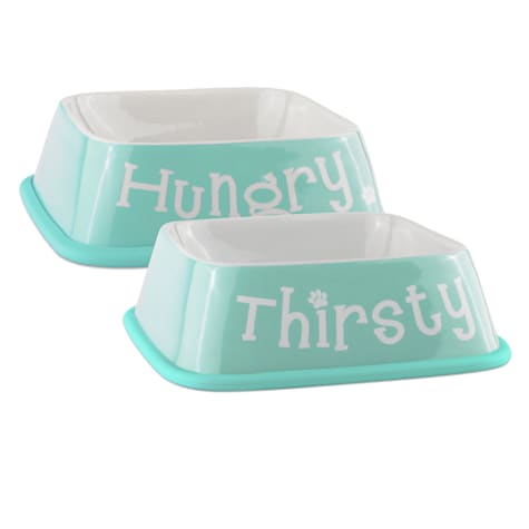 Bone Dry Hungry/Thirsty Aqua Square Pet Bowl