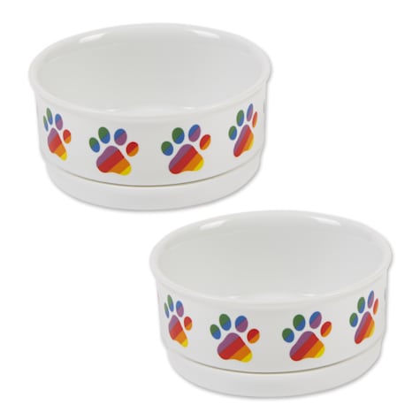 Bone Dry Rainbow Paw Pet Bowl