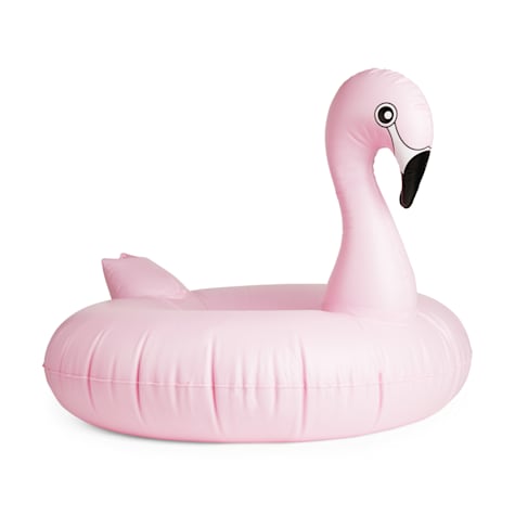 Leaps & Bounds Flamingo Pool Float Toy for Pets