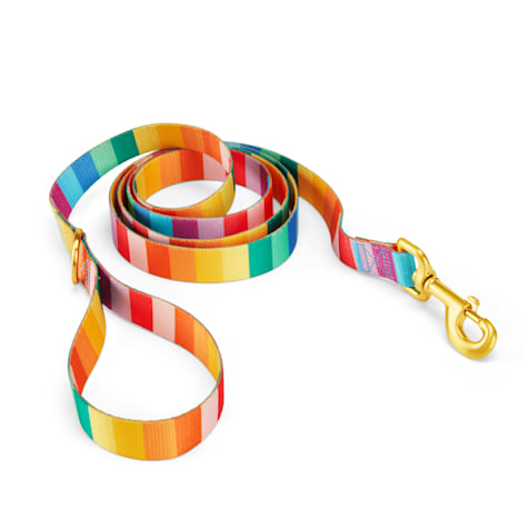YOULY Rainbow Stripe Dog Leash