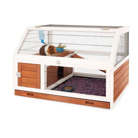 EveryYay Wooden Guinea Pig Habitat