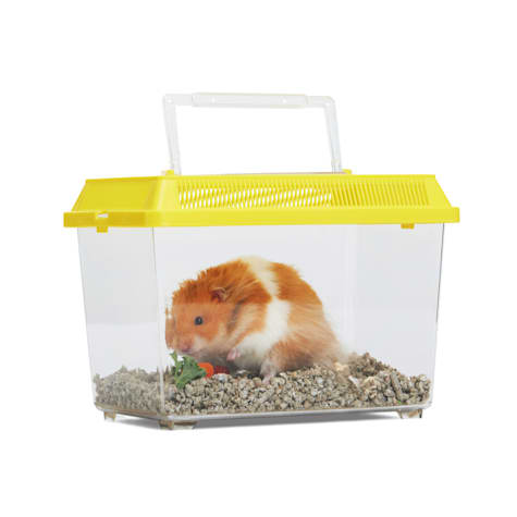 EveryYay Square Pet Keeper
