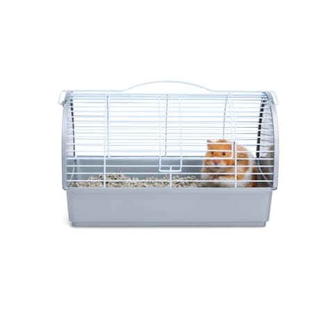 EveryYay Small Animal Pet Carrier