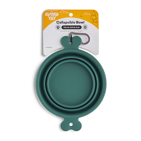 EveryYay Open-Air Eats Collapsible Bowl for Dogs