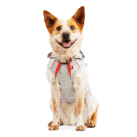 Reddy Grey Hooded Tank for Dogs
