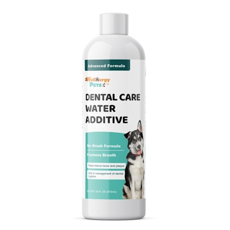Wellnergy Pets Dental Care Water Additive for Dogs