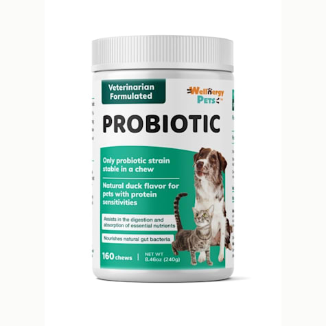 Wellnergy Pets Probiotics Dog Soft Chews