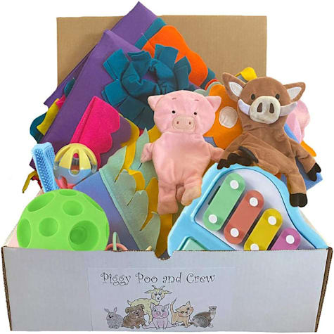 Piggy Poo and Crew Blue Bundle of Toys Gift Box