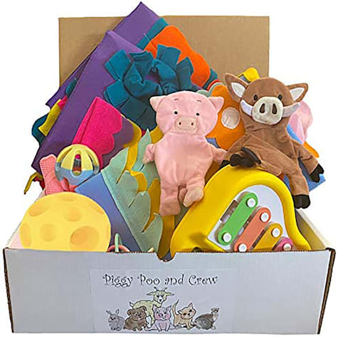Piggy Poo and Crew Yellow Bundle of Toys Gift Box