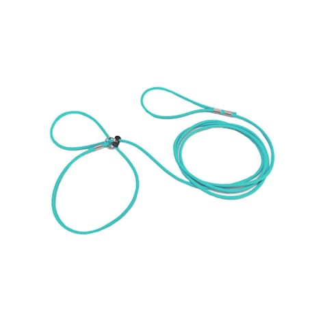 Piggy Poo and Crew Teal Adjustable Pet Harness and Leash