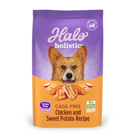 Halo Holistic Complete Digestive Health Grain Free Chicken and Sweet Potato Recipe Small Breed Dry Dog Food