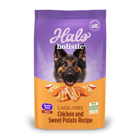 Halo Holistic Complete Digestive Health Grain Free Chicken & Sweet Potato Recipe Adult Dry Dog Food