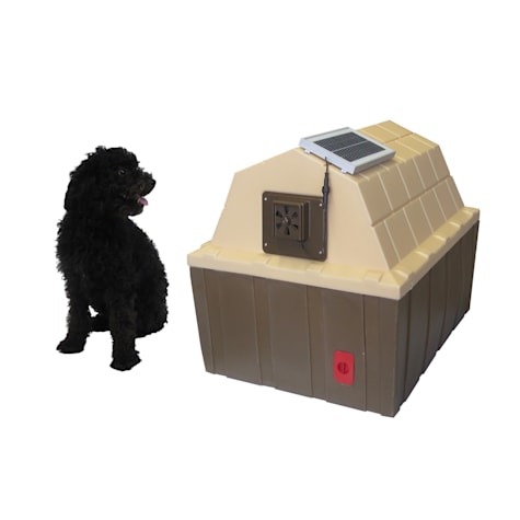 Dog Palace Breeze