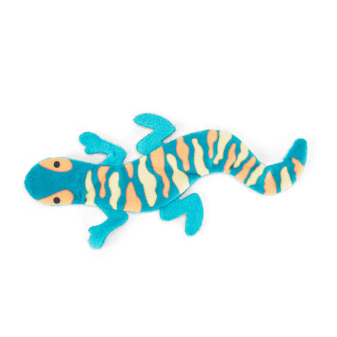Leaps & Bounds Flatty Lizard Cat Toy