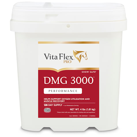 Vita Flex DMG 3000 Concentrate 128 Day Supply
